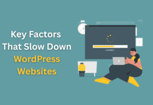 Key factors that slow down wordpress websites