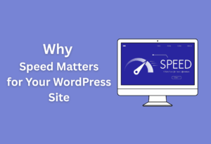 Why speed matters for your wordpress site (1)